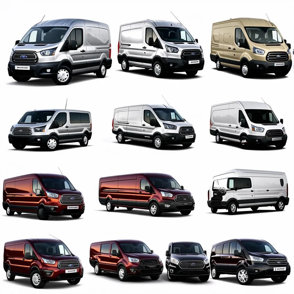 Các phiên bản Ford Transit