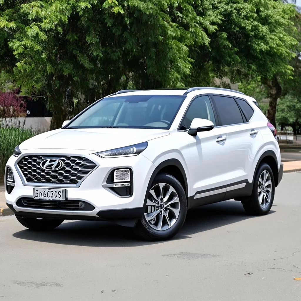 Hyundai SantaFe 7 chỗ