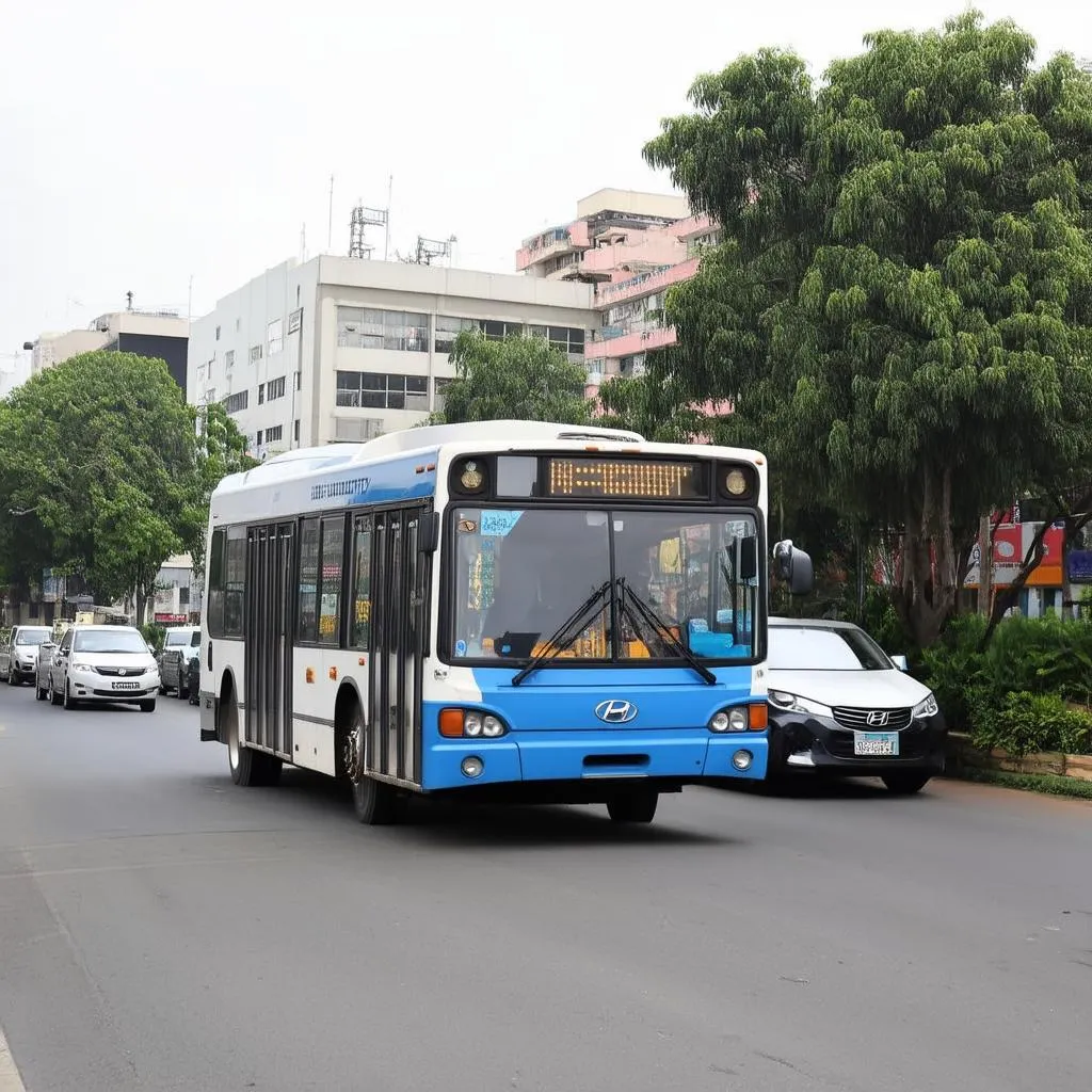 Xe County di chuyển trên đường