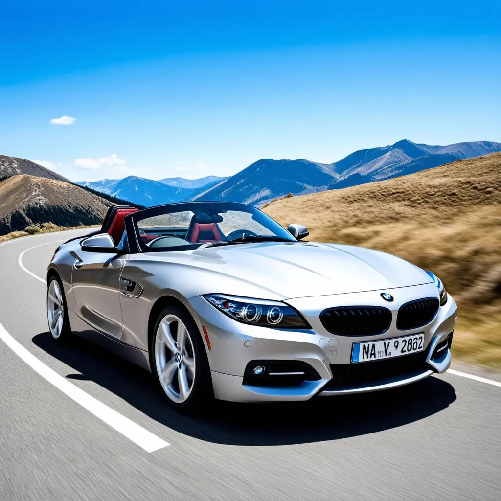 BMW Z4