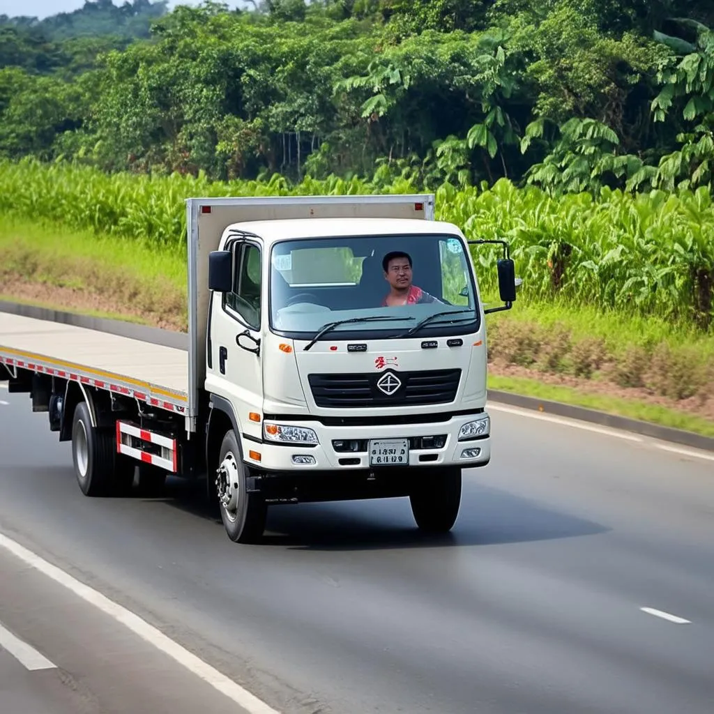 lái xe tải dongfeng an toàn