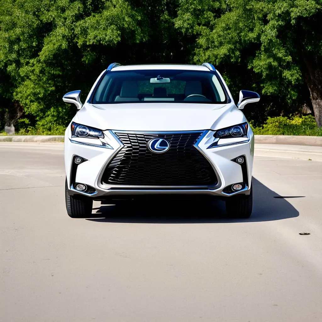 Lexus NX300 2018 ngoại thất