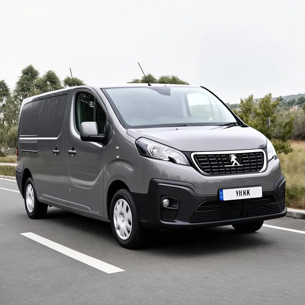 Peugeot Expert Combi