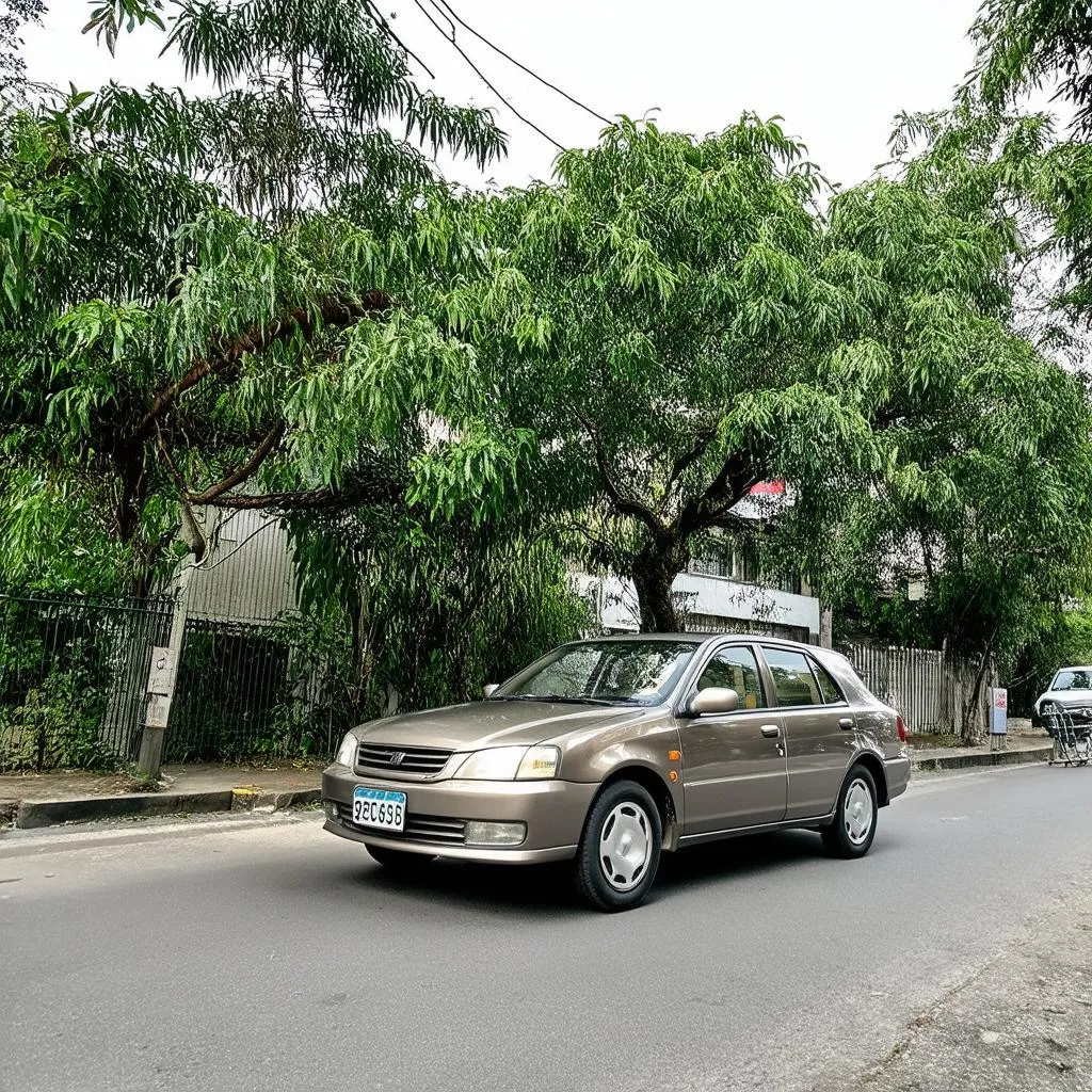 Thuê xe ô tô tại Đà Lạt