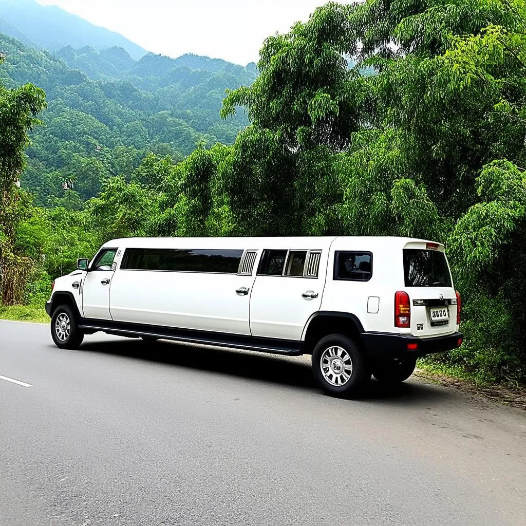 xe limousine đi Sapa