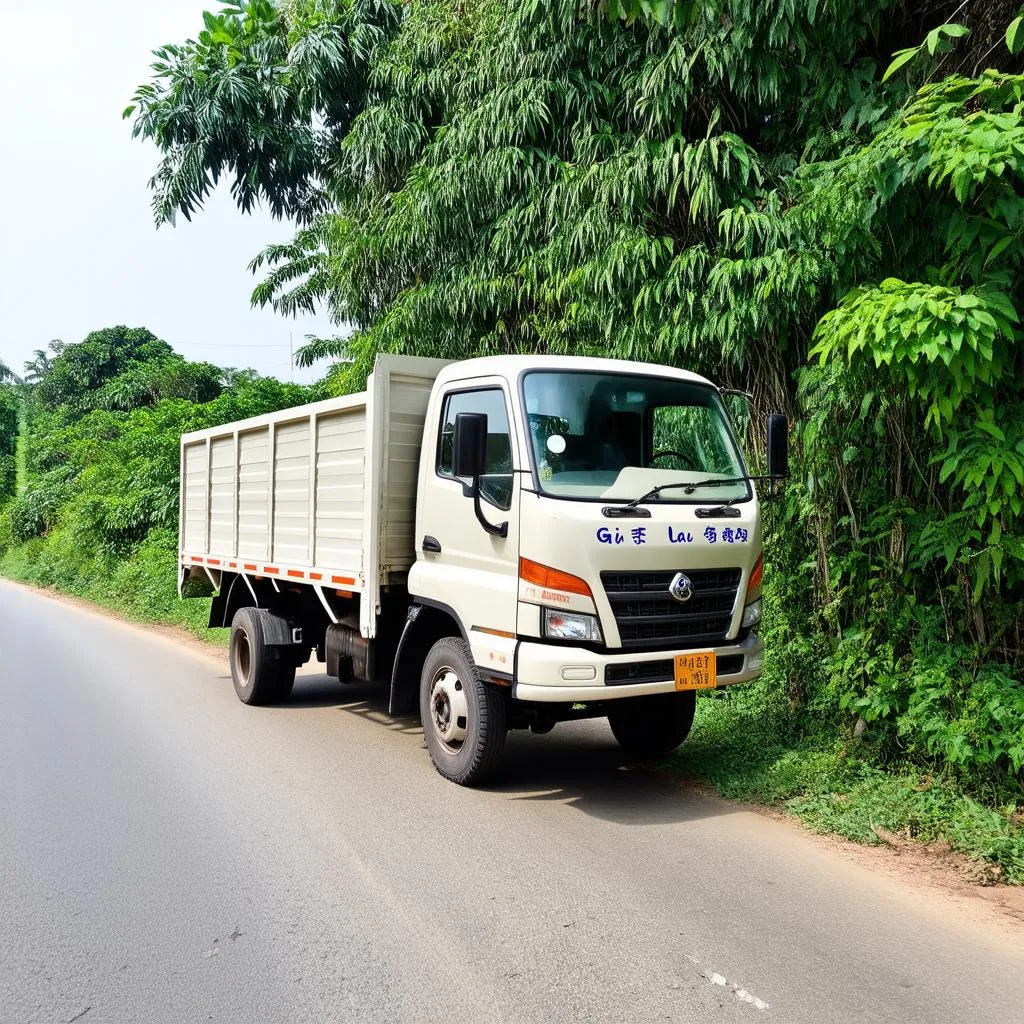 Xe tải cũ Gia Lai