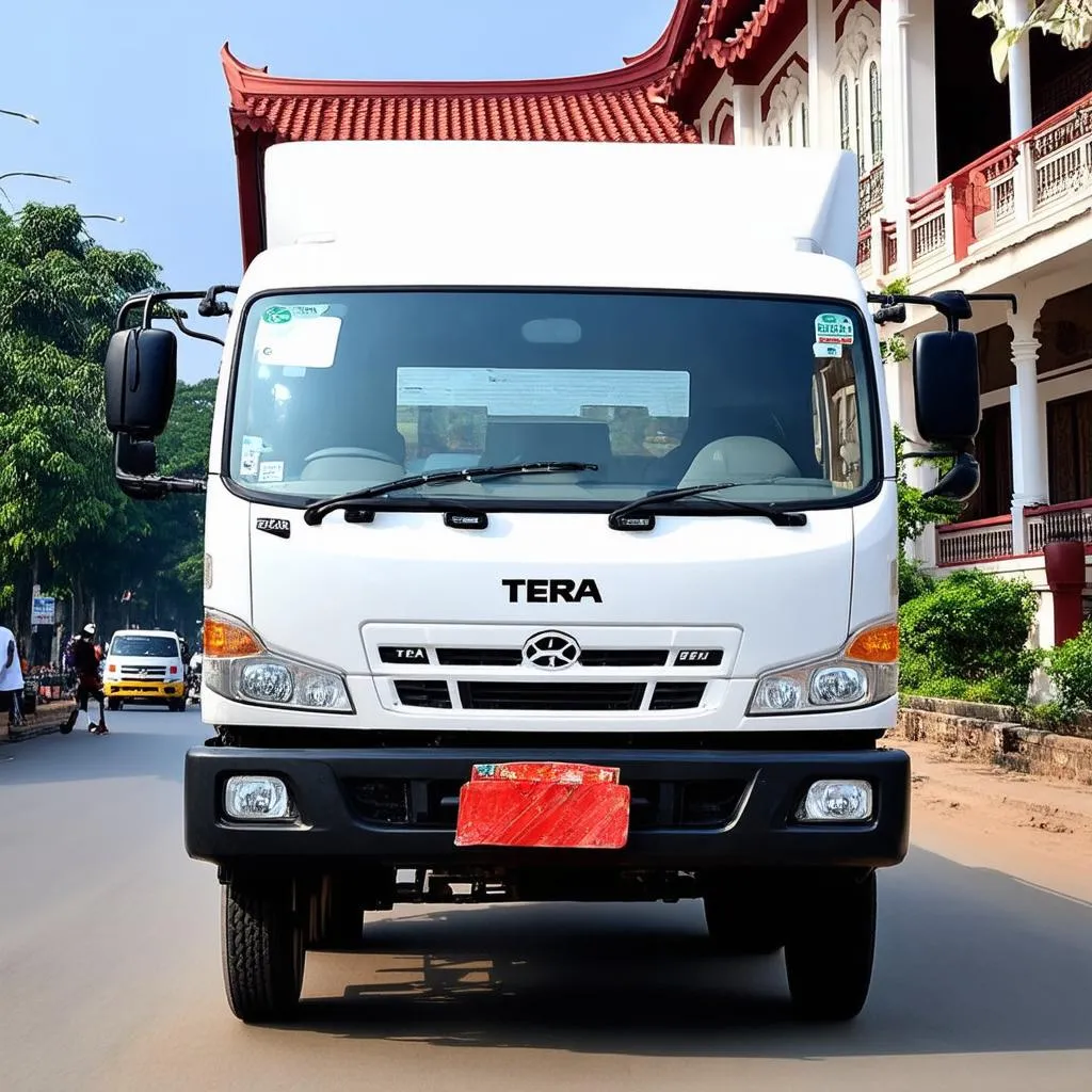 Xe tải Tera 990kg màu trắng