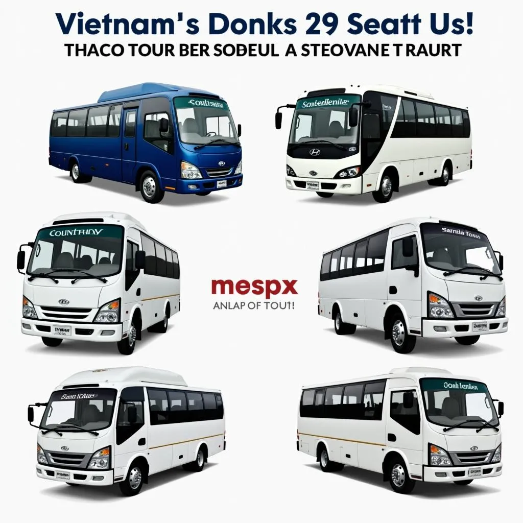 Các dòng xe bus 29 chỗ