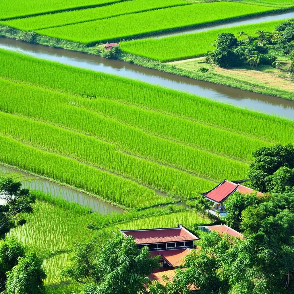 Du lịch Cần Thơ