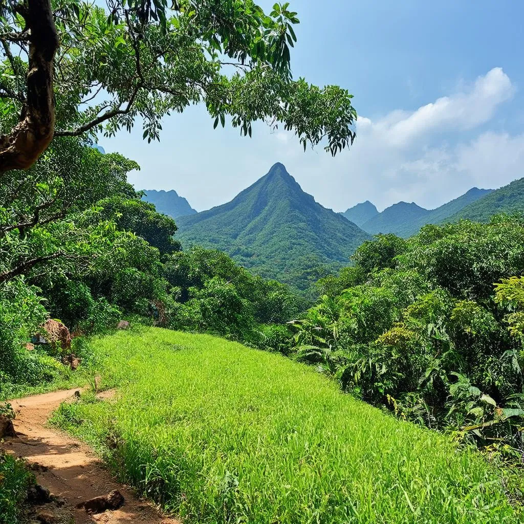 Khu du lịch Tam Nông