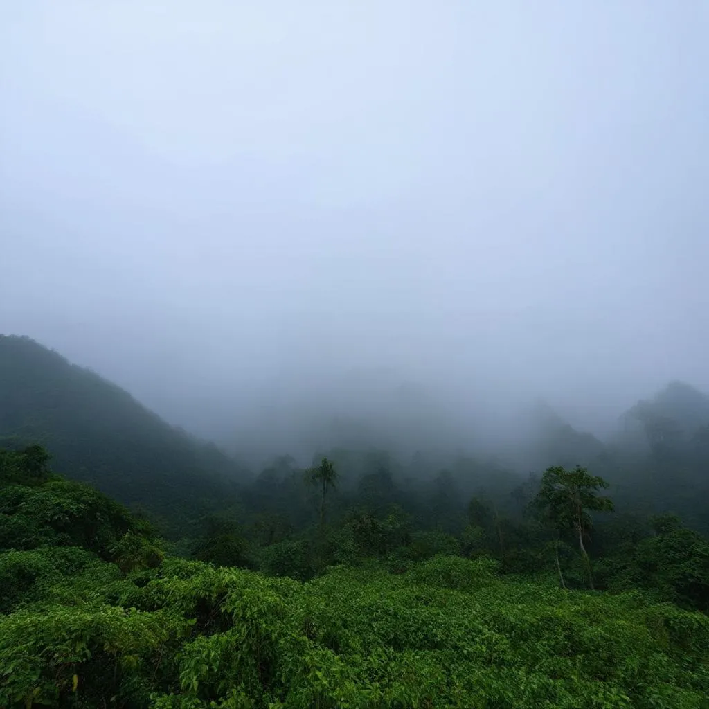 Mùa đông Mộc Châu