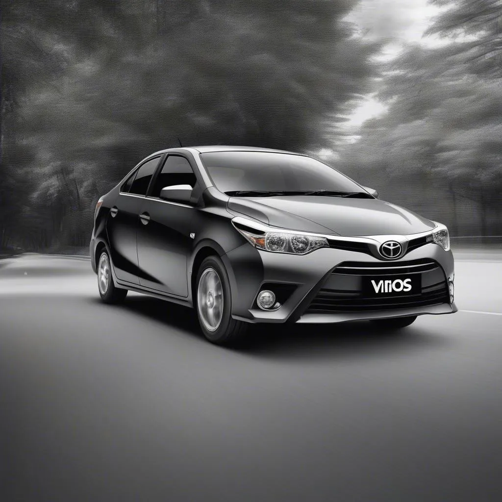 Xe Toyota Vios 2014 giá rẻ