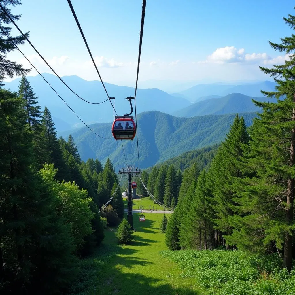 Cáp treo Genting Skyway