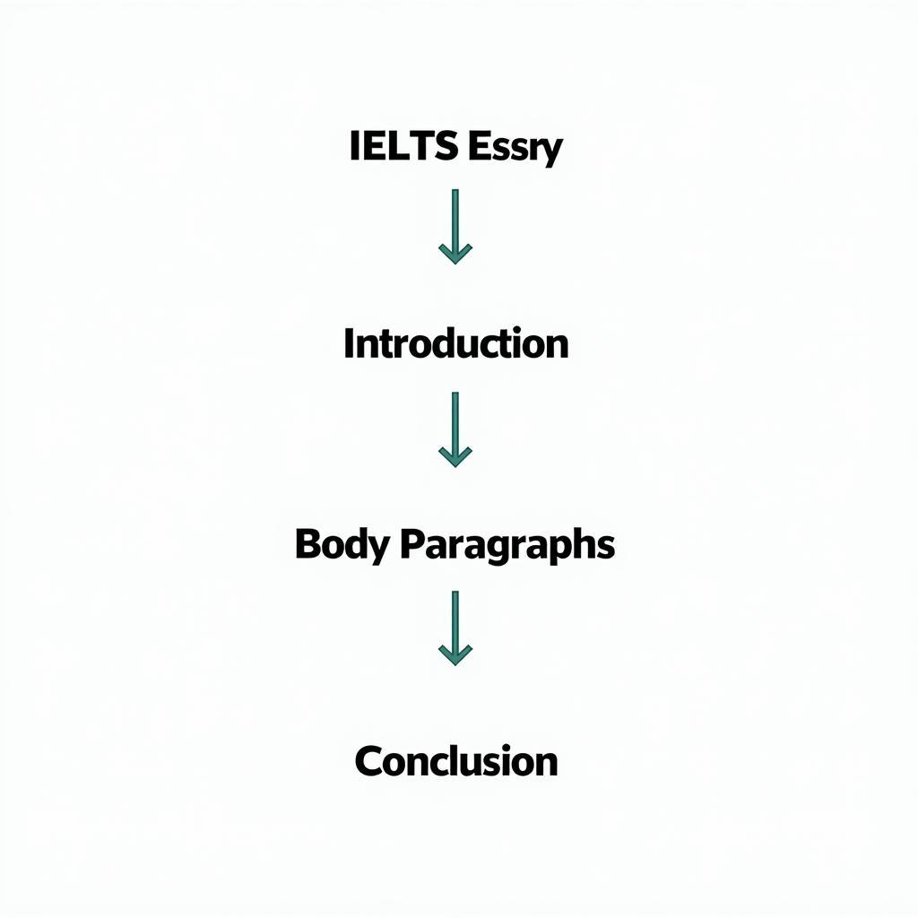 Cấu trúc bài luận mini IELTS