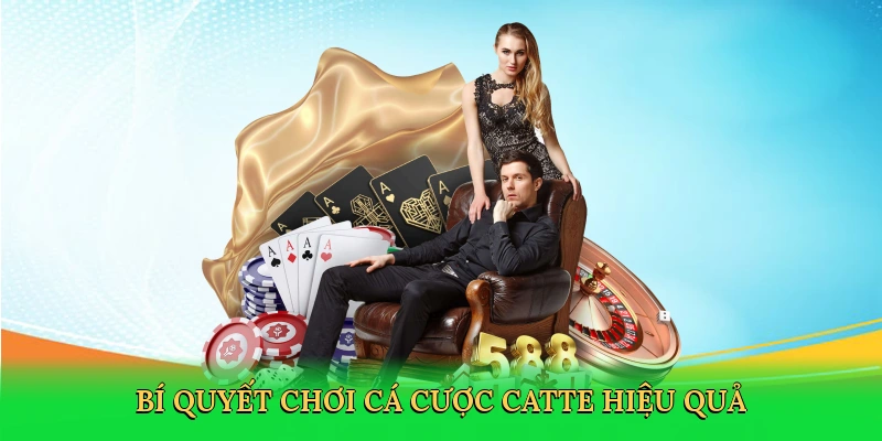 Bí quyết chơi cá cược catte hiệu quả