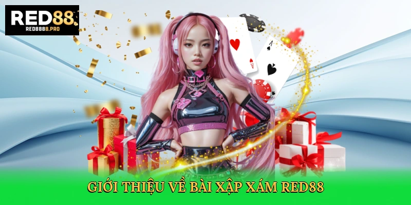 gioi-thieu-ve-bai-xap-xam-red88-2