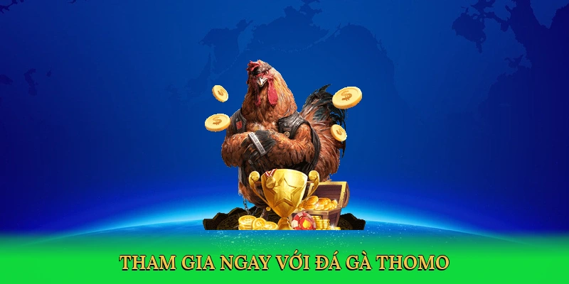 Tham gia ngay với Đá gà Thomo