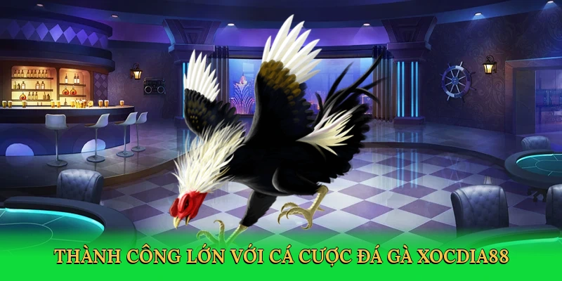 Thành công lớn với cá cược đá gà Xocdia88