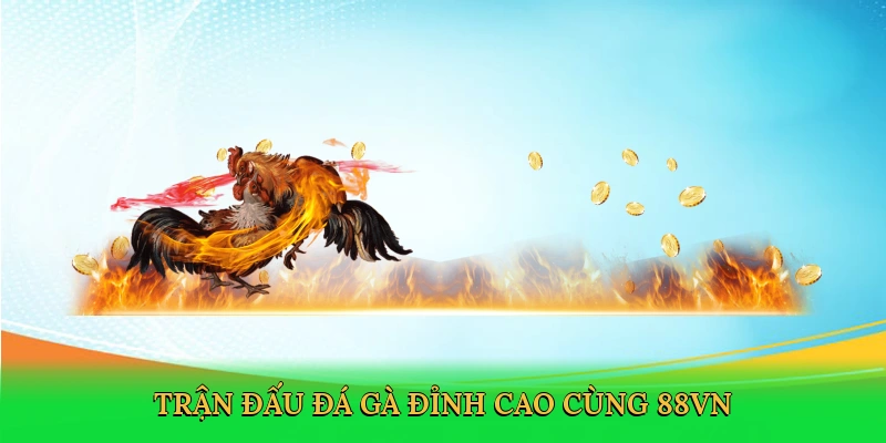 Trận đấu đá gà đỉnh cao cùng 88VN